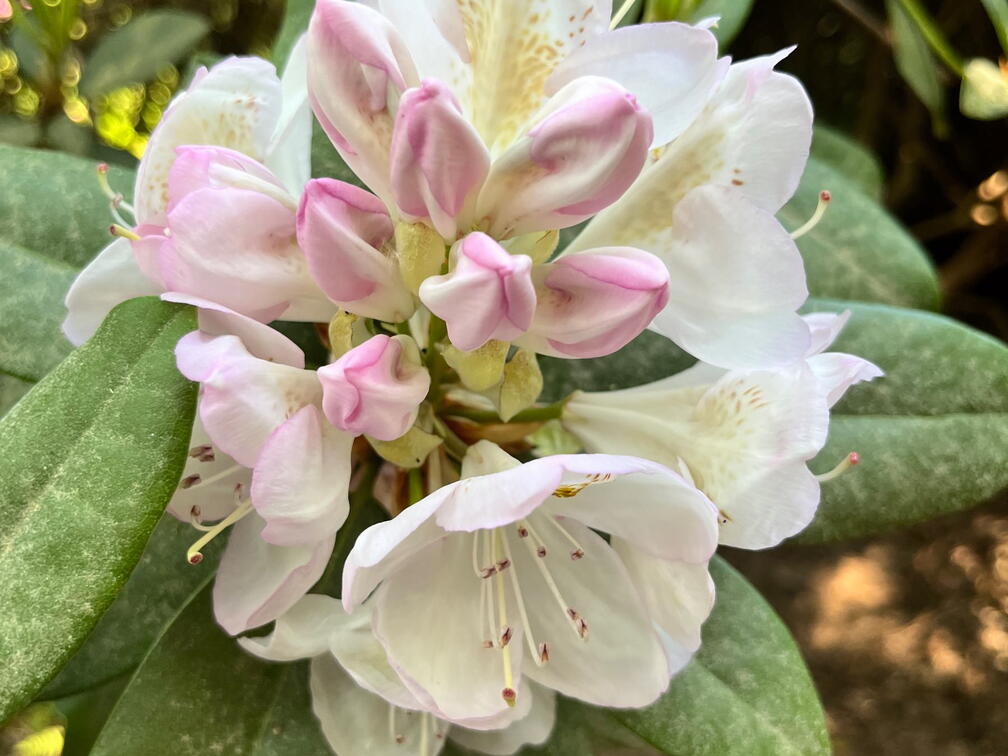 23-06-03 16-59-51 5809